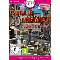 Public Enemies (PC)