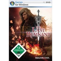 The Last Remnant (PC)