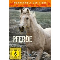 Wunderwelt der Tiere: Pferde (DVD)
