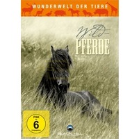 Wunderwelt der Tiere: Wildpferde (DVD)