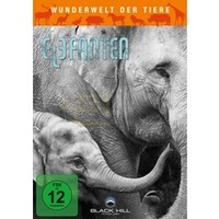 Wunderwelt der Tiere: Elefanten