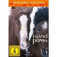 Wunderwelt der Tiere: Island Ponys