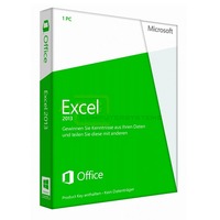 Excel 2013