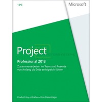 Project Professional 2013