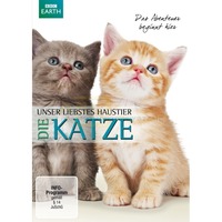 Unser liebstes Haustier - Die KATZE