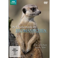 Die Familienbande der Erdm&auml;nnchen