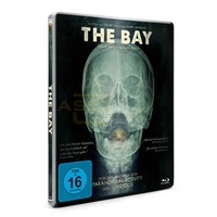 The Bay