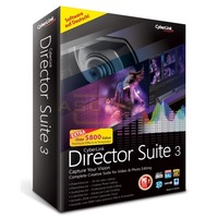 Director Suite 3