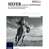 Silver projects professional