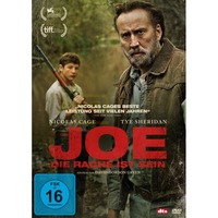Joe - Die Rache ist sein (DVD)
