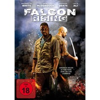 Falcon Rising