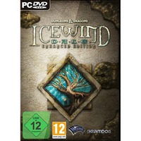 Icewind Dale: Enhanced Edition (PC) Englisch
