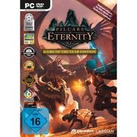 Pillars of Eternity - Game of the Year Edition (PC) Englisch