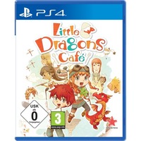 Little Dragons Cafe 