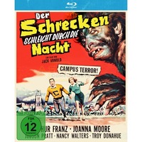 Der Schrecken schleicht durch die Nacht 