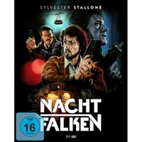 Nachtfalken