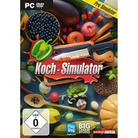 Koch-Simulator