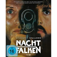Nachtfalken