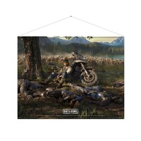 Days Gone: „Cover Art“
