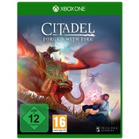Citadel Forged with Fire