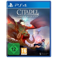 Citadel Forged with Fire
