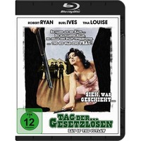 Tag der Gesetzlosen (Day Of The Outlaw)