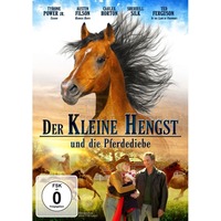Der kleine Hengst und die Pferdediebe