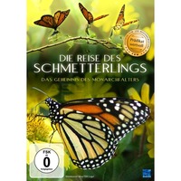 Die Reise des Schmetterlings - Four Wings and a Prayer
