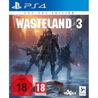 Wasteland 3