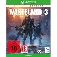 Wasteland 3