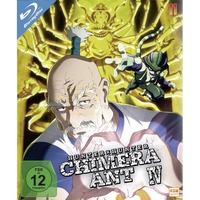 HUNTERxHUNTER - Volume 11