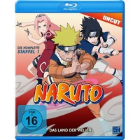 Naruto - Das Land der Wellen - Staffel 1: Folge 01-19