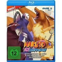 Naruto Shippuden Folge 463-480