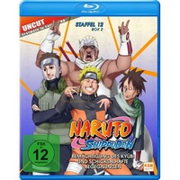 Naruto Shippuden - Folge 481-495
