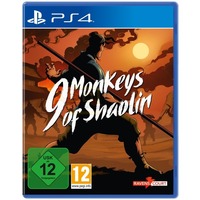 9 Monkeys of Shaolin