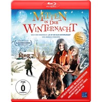 Mitten in der Winternacht 