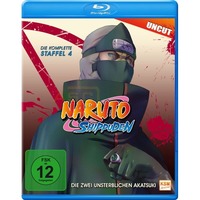 Naruto Shippuden - Die Zwei unsterblichen Akatsuki -