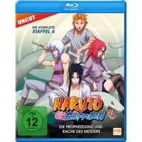 Naruto Shippuden - Die Prophezeiung und Rache des Meisters