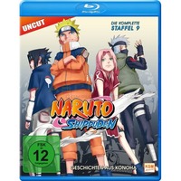 Naruto Shippuden - Geschichten aus Konoha - Staffel 09: