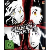 HUNTERxHUNTER - Volume 12