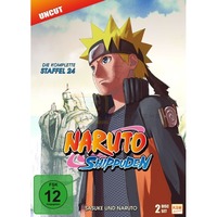 Naruto Shippuden - Sasuke und Naruto - Staffel 24