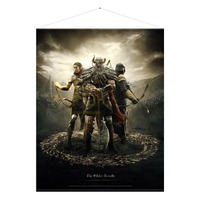 The Elder Scrolls Online