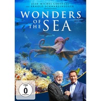 Wonders of the Sea
