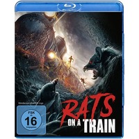 Rats on a Train
