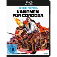 Kanonen f&uuml;r Cordoba
