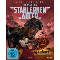 Die Asse der stählernen Adler