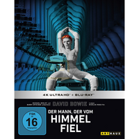 Der Mann, der vom Himmel fiel