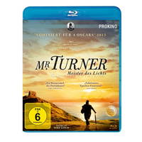 Mr. Turner - Meister des Lichts