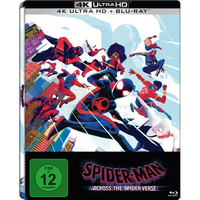 Spider-Man: Across the Spider-Verse