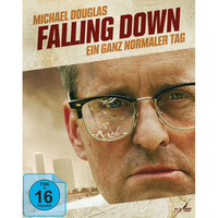 Falling Down - Ein ganz normaler Tag